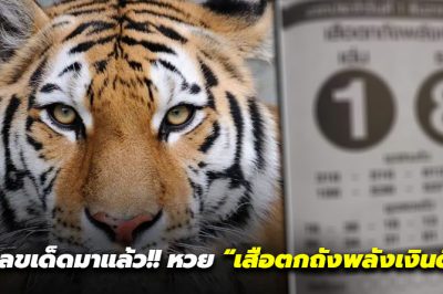 เลขเด็ดมาแล้ว!! หวย “เสือตกถังพลังเงินดี”มาก่อนใคร