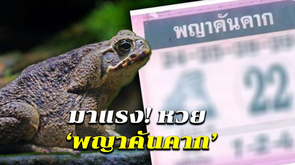 พญาคันคาก