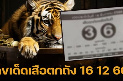 แนวทาง เลขเด็ดเสือตกถัง พลังเงินดี ลุ้นหวยกลางเดือน 16 12 66