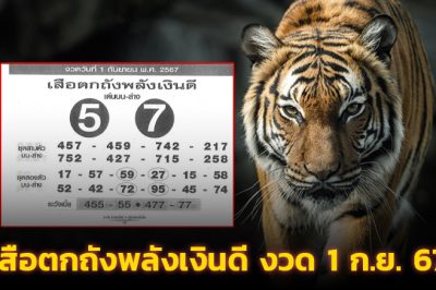 เลขเด็ด เสือตกถังพลังเงินดี งวด 1 ก.ย. 67