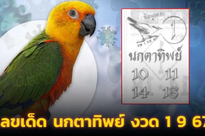 เลขเด็ด นกตาทิพย์ งวด 1 9 67 ลายแทงลอตเตอรี