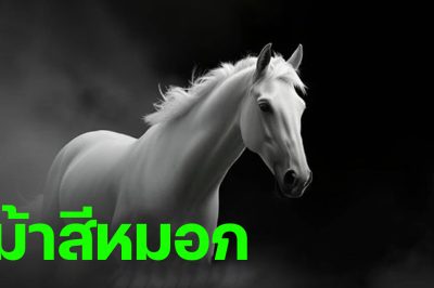 หวยม้าสีหมอก ปล่อยเลขเด็ดชุดใหญ่ งวดนี้ 16 มิถุนายน 2568